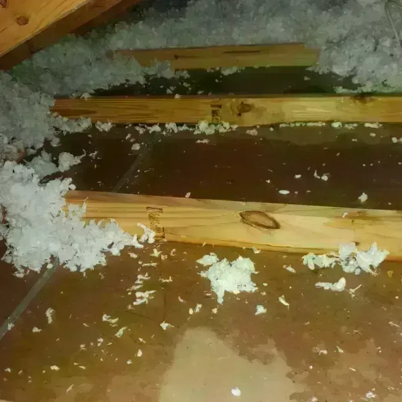 Attic Water Damage in Parlier, CA