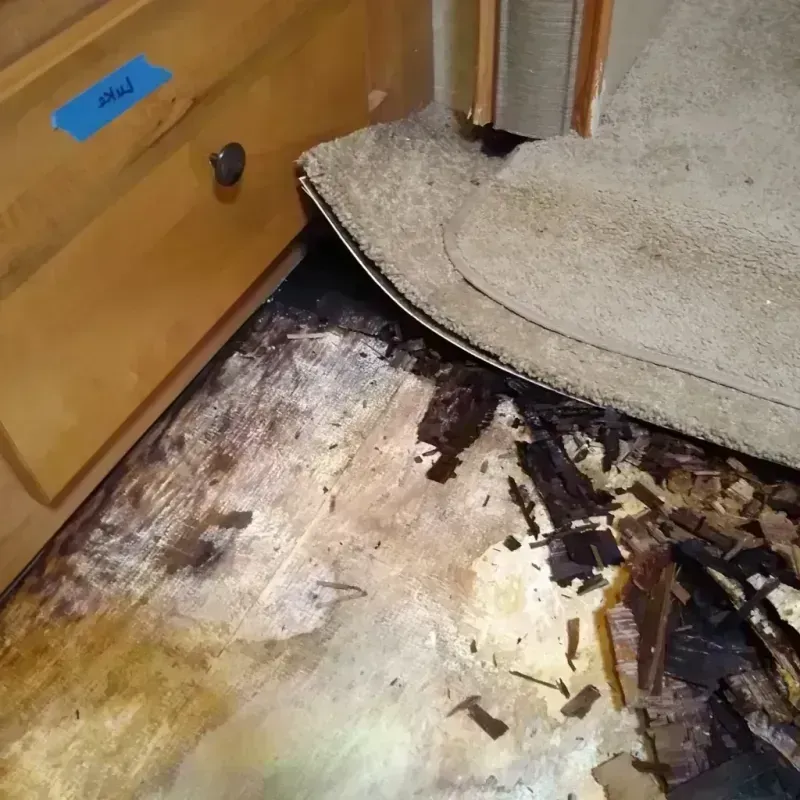 Wood Floor Water Damage in Parlier, CA